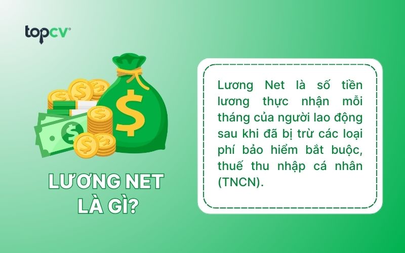 luong net la gi